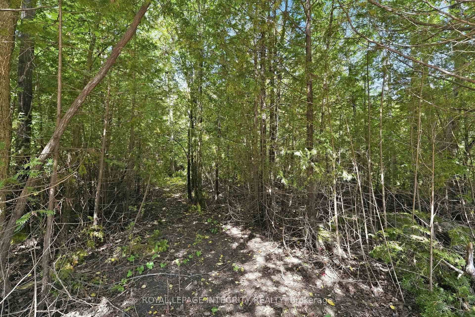 Pt Lot 2 Con 4 Mackey Road • North Gower, ON photo 7