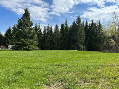 1185 Sturgeon Road • Kawartha Lakes, ON photo 3