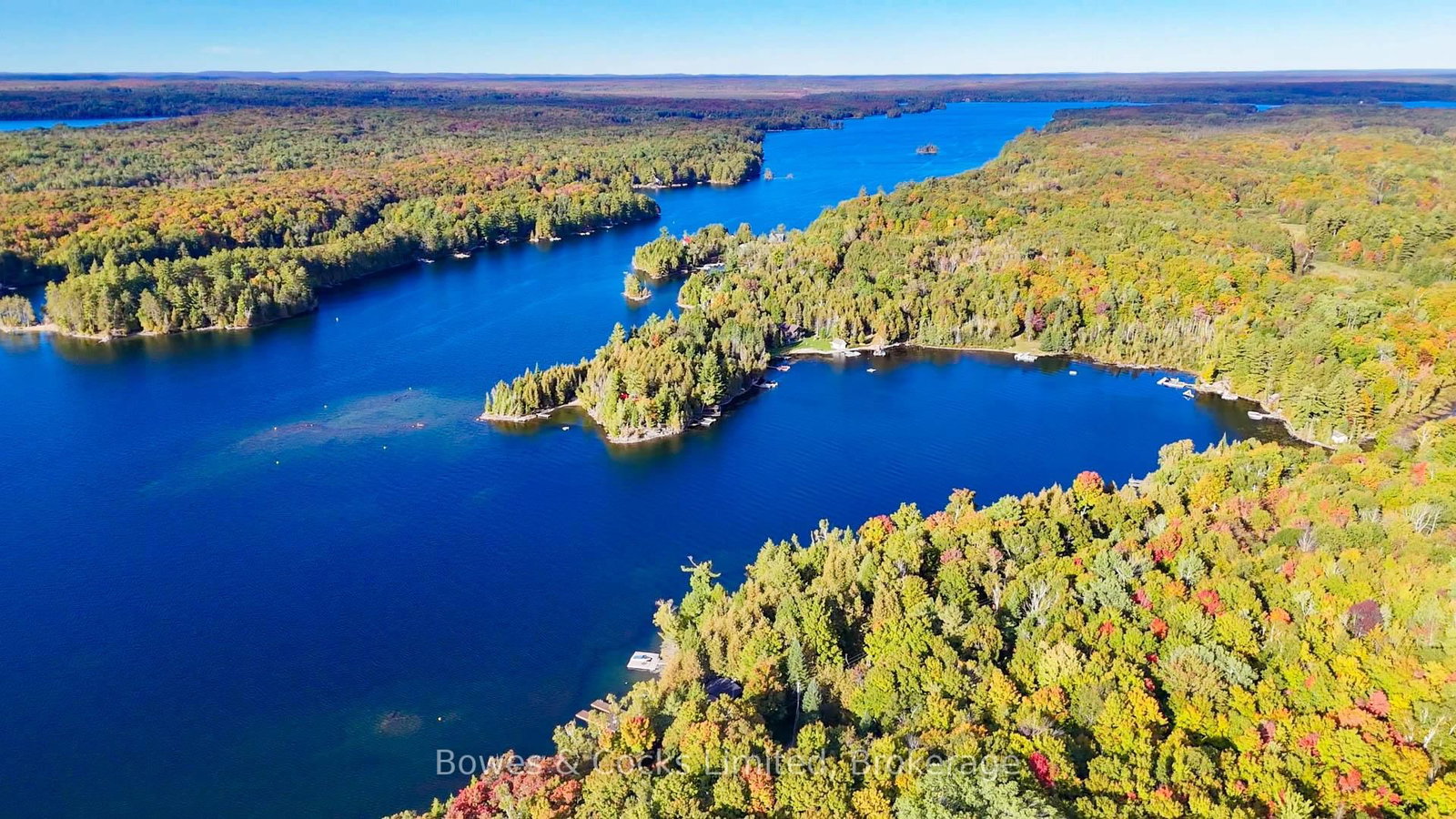408 Couchs Road • North Kawartha, ON photo 43