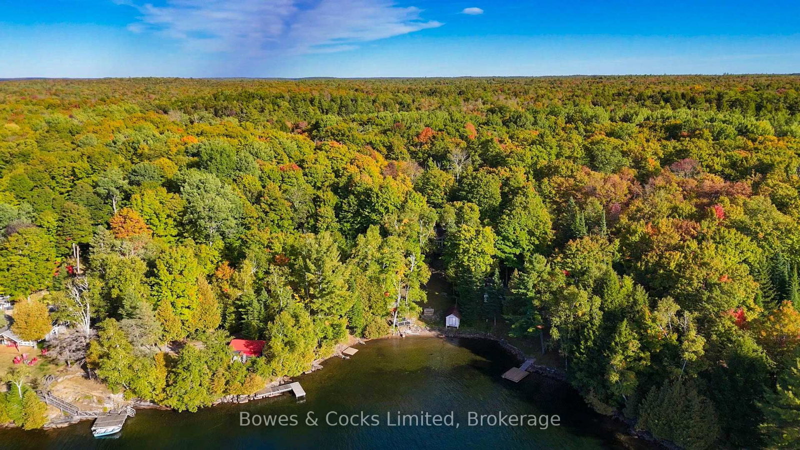 408 Couchs Road • North Kawartha, ON photo 45