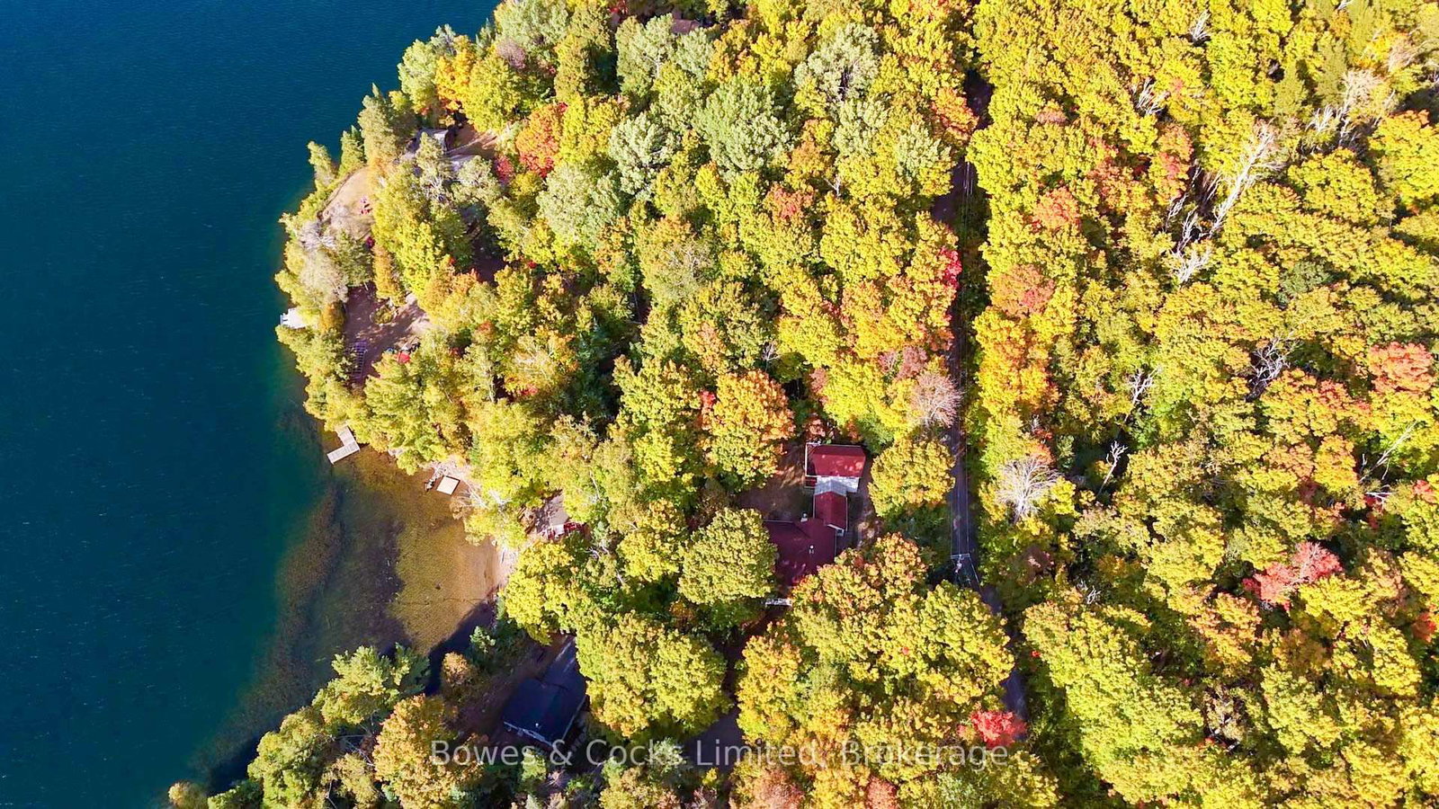 408 Couchs Road • North Kawartha, ON photo 7