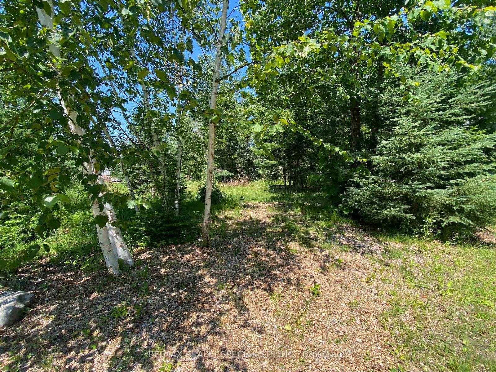 LT12 & 13 OTTER Road • Kawartha Lakes, ON photo 11