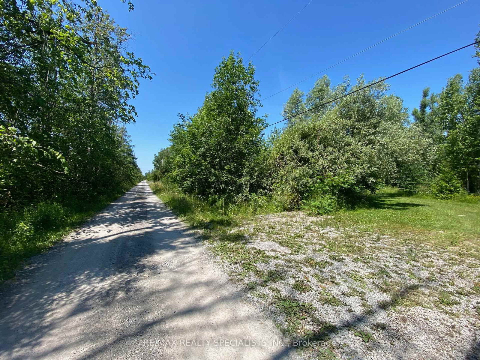 LT12 & 13 OTTER Road • Kawartha Lakes, ON photo 13