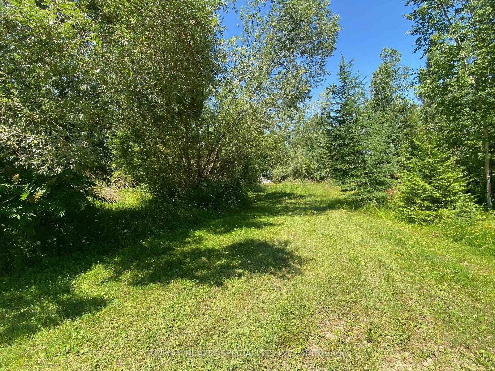 LT12 & 13 OTTER Road • Kawartha Lakes, ON photo 15
