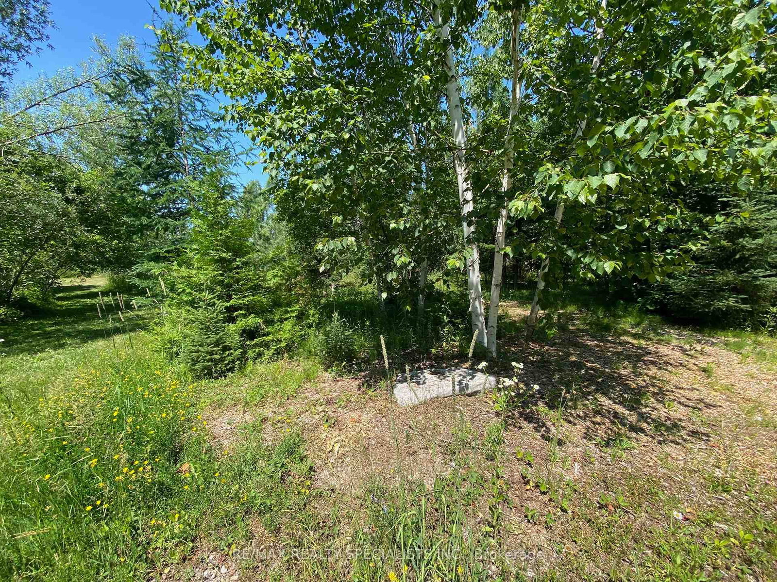 LT12 & 13 OTTER Road • Kawartha Lakes, ON photo 4