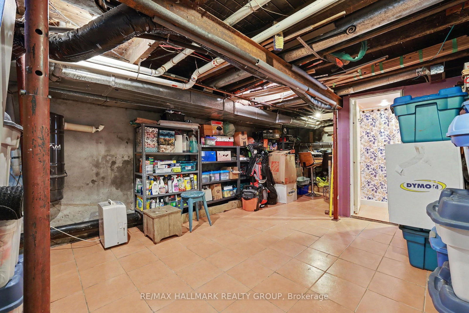 116 Hamilton Avenue N • Ottawa, ON photo 21