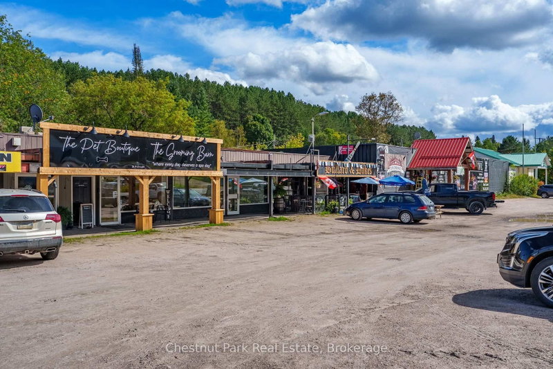 318 Ontario St photo 4