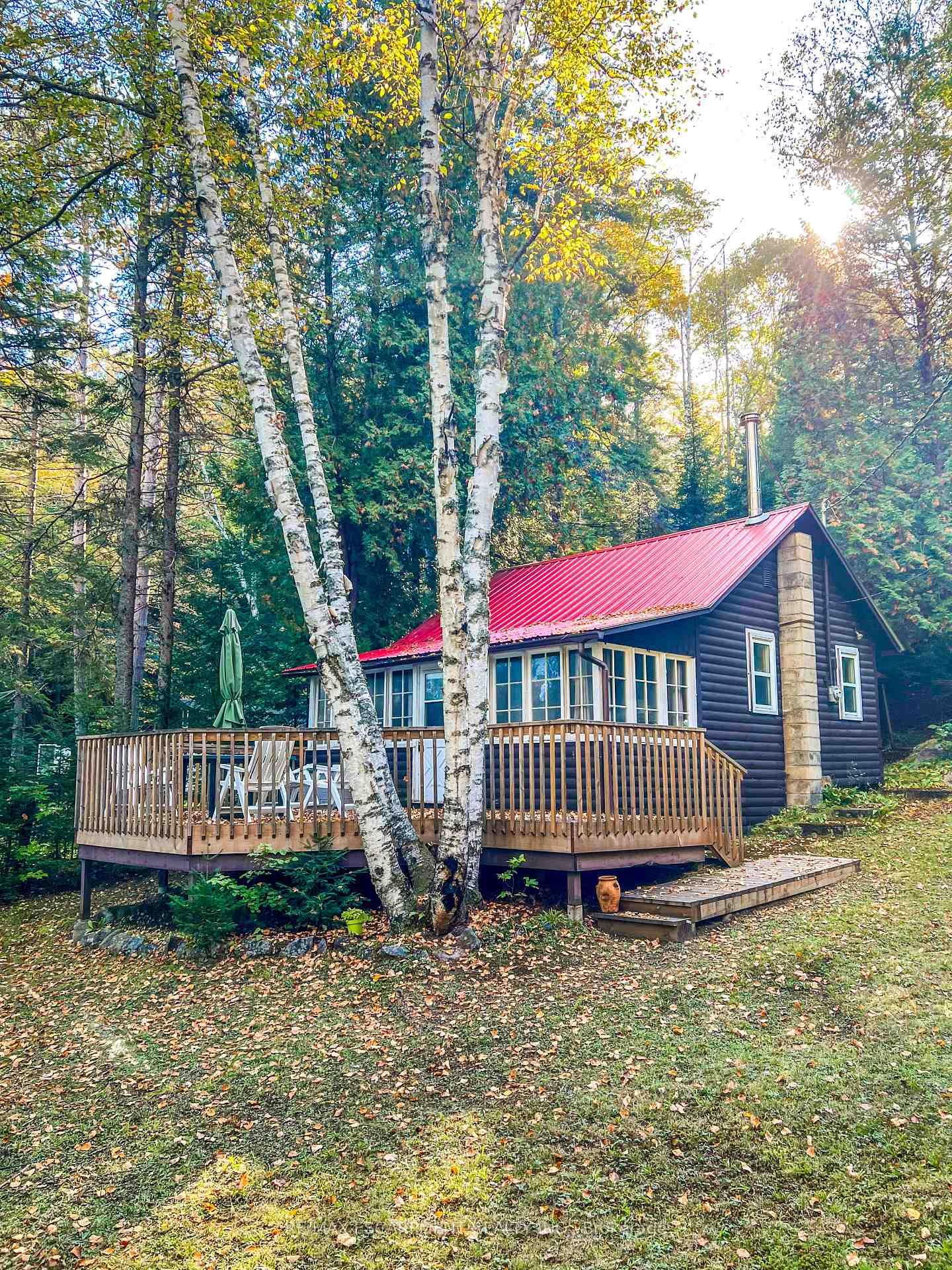 1257 Paint Lake Road • Lake of Bays, ON photo 19