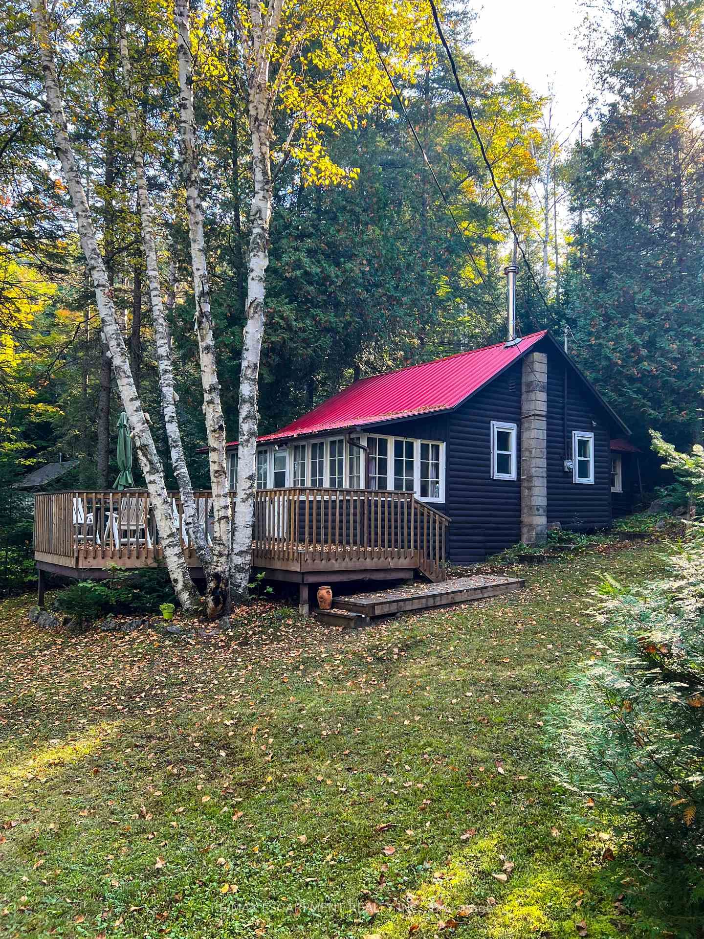 1257 Paint Lake Road • Lake of Bays, ON photo 21