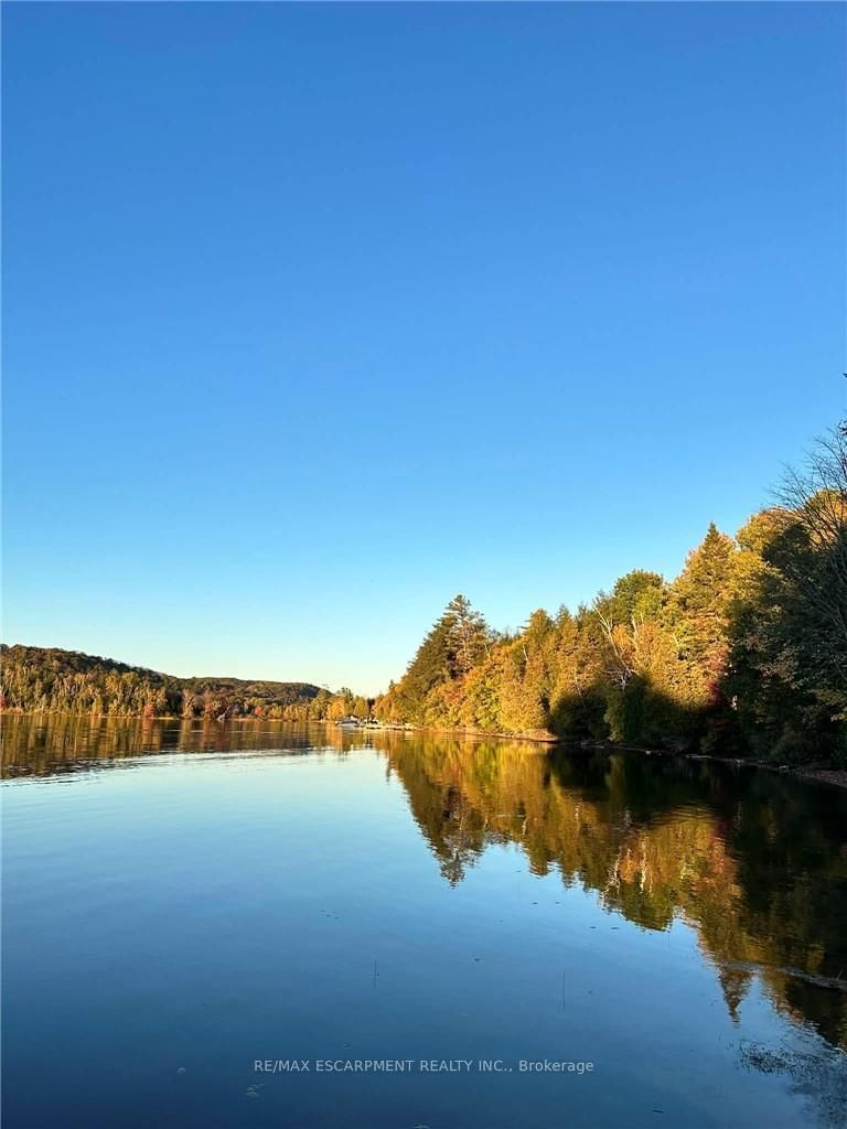 1257 Paint Lake Road • Lake of Bays, ON photo 28