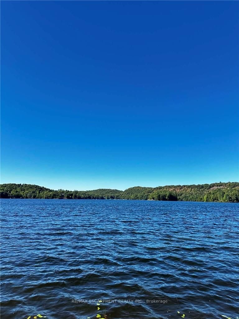 1257 Paint Lake Road • Lake of Bays, ON photo 33