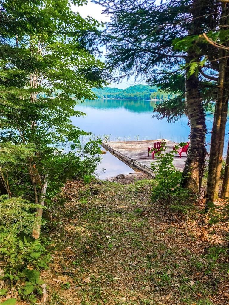1257 Paint Lake Road • Lake of Bays, ON photo 35