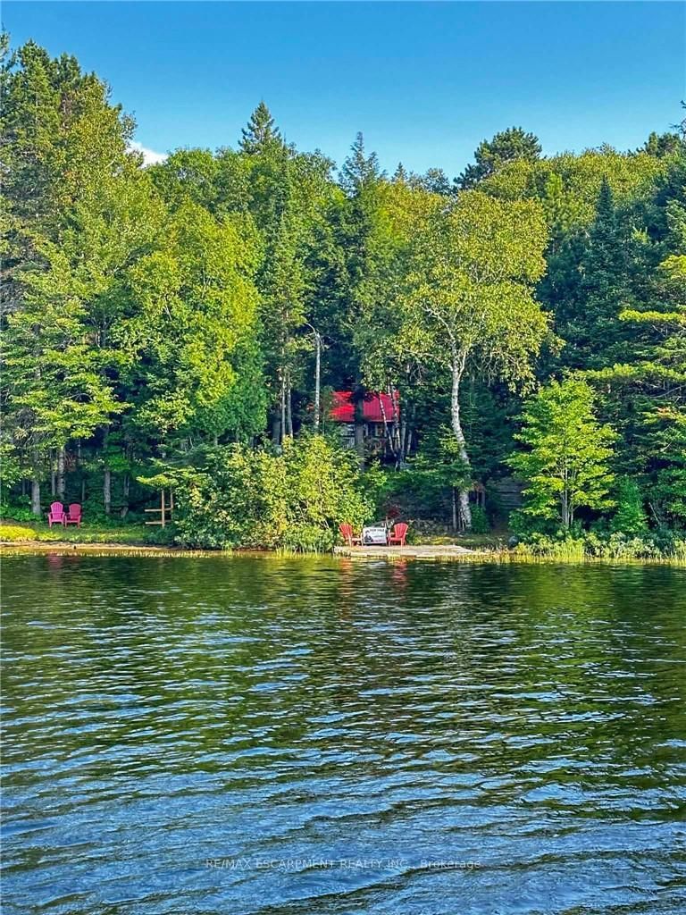 1257 Paint Lake Road • Lake of Bays, ON photo 36