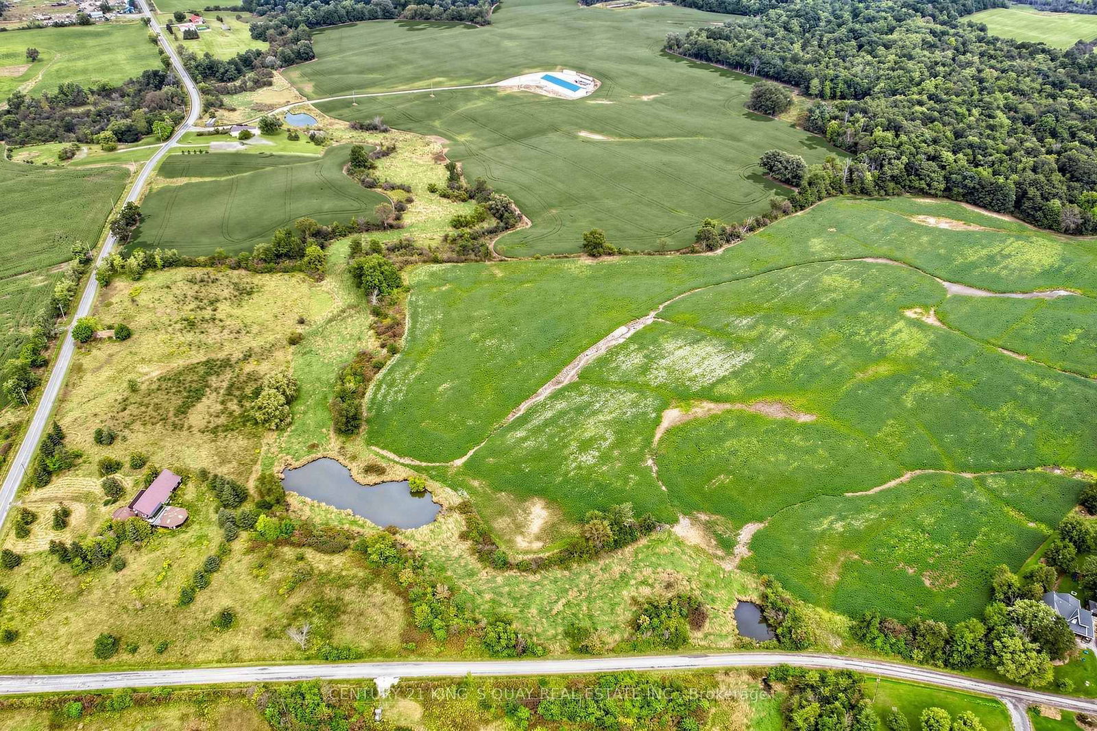 296 Darling Road • Haldimand, ON photo 45