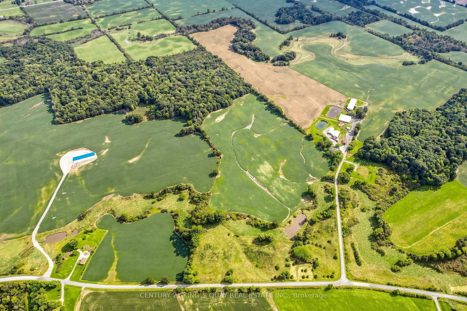 296 Darling Road • Haldimand, ON photo 49