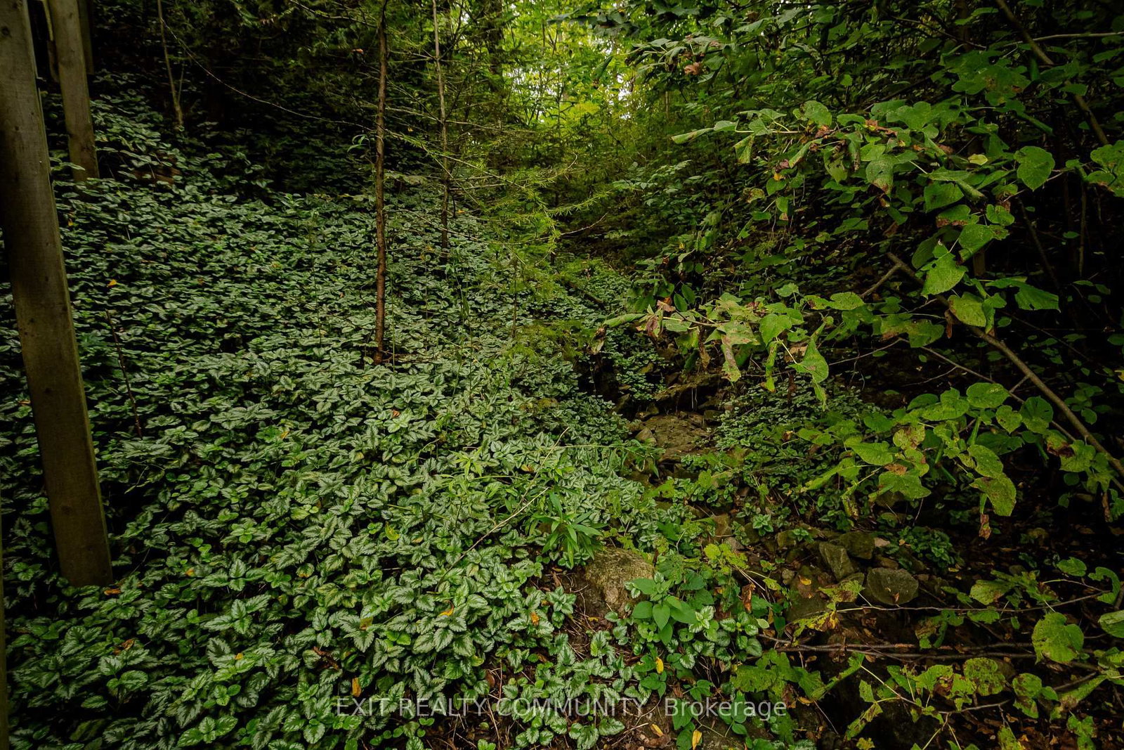 22530 Coldstream Road • Middlesex Centre, ON photo 34