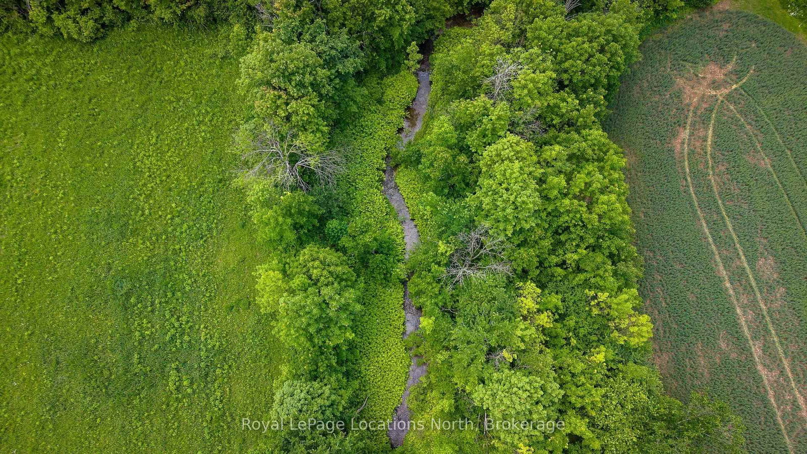 555796 6th Line • Blue Mountains, ON photo 40