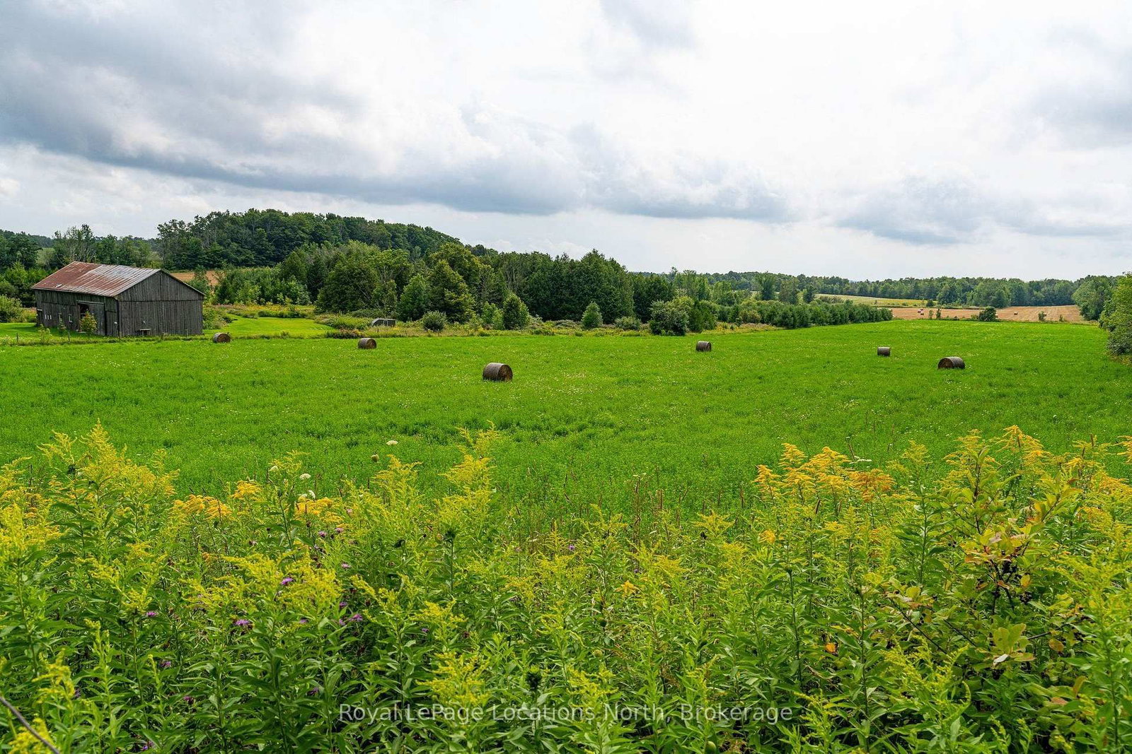 555796 6th Line • Blue Mountains, ON photo 6