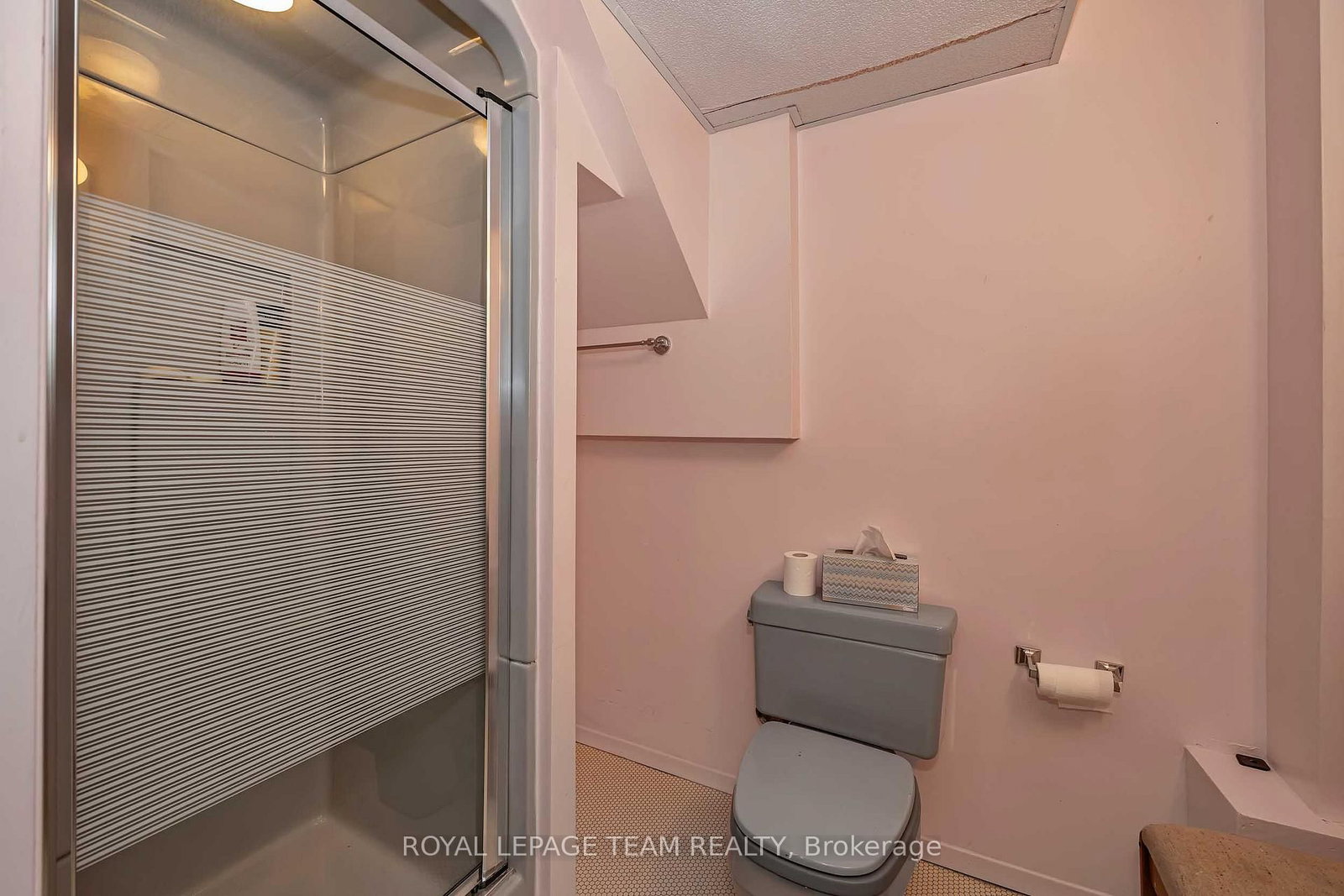 1174 Bonnie Crescent • Ottawa, ON photo 41