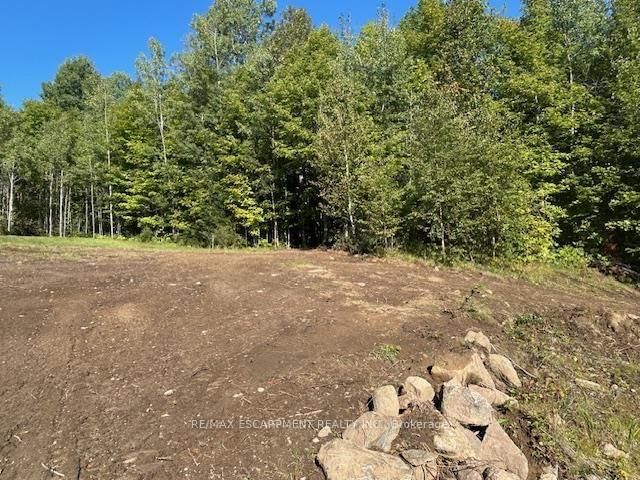 3275 MUSCLOW-GREENVIEW Road • Bancroft, ON photo 13