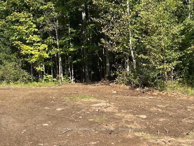 3275 MUSCLOW-GREENVIEW Road • Bancroft, ON photo 14