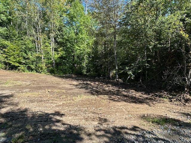 3275 MUSCLOW-GREENVIEW Road • Bancroft, ON photo 15