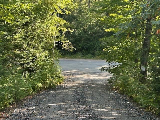 3275 MUSCLOW-GREENVIEW Road • Bancroft, ON photo 16