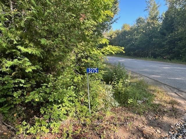 3275 MUSCLOW-GREENVIEW Road • Bancroft, ON photo 17