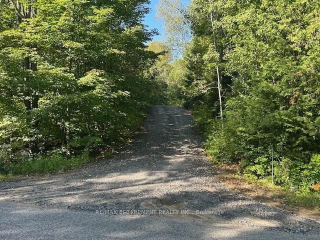 3275 MUSCLOW-GREENVIEW Road • Bancroft, ON photo 19