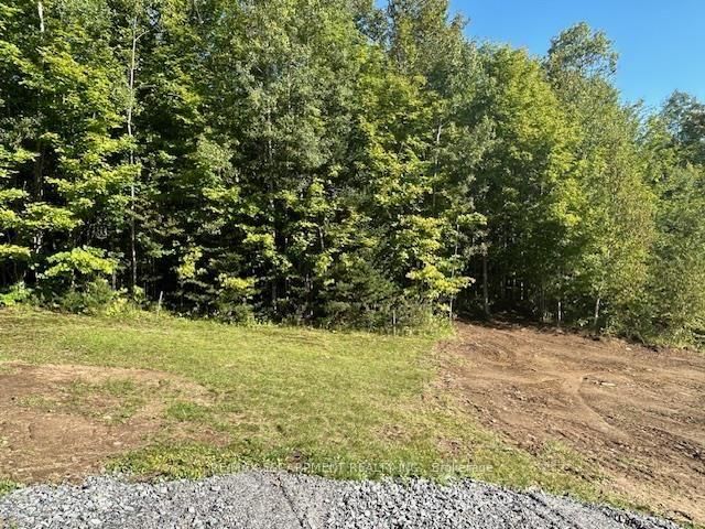 3275 MUSCLOW-GREENVIEW Road • Bancroft, ON photo 24