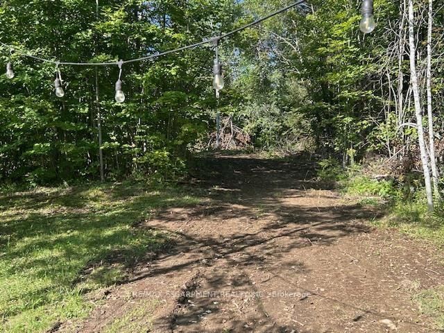 3275 MUSCLOW-GREENVIEW Road • Bancroft, ON photo 27
