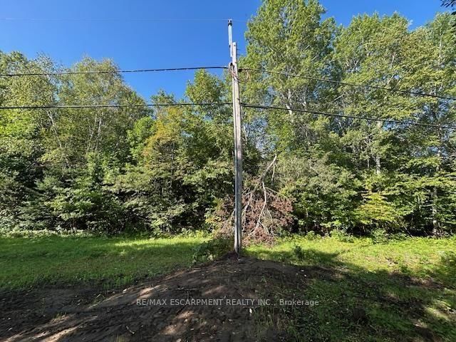 3275 MUSCLOW-GREENVIEW Road • Bancroft, ON photo 28