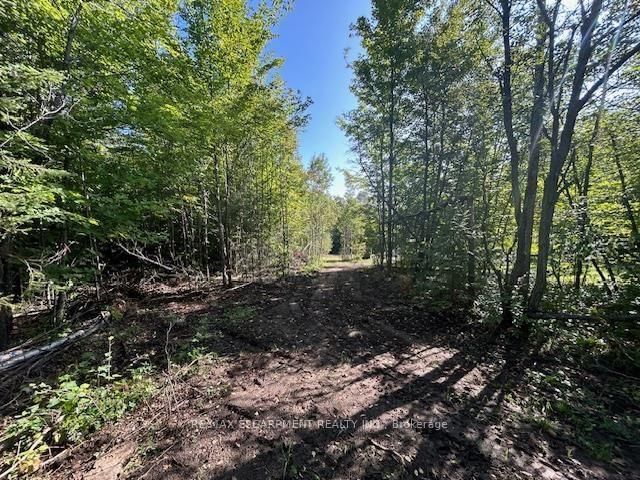 3275 MUSCLOW-GREENVIEW Road • Bancroft, ON photo 29