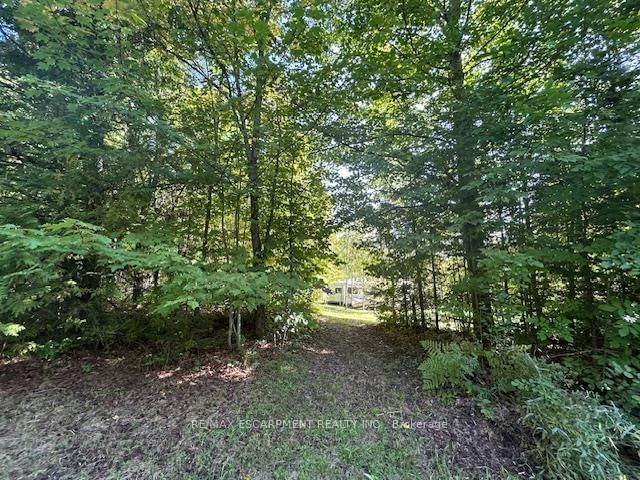 3275 MUSCLOW-GREENVIEW Road • Bancroft, ON photo 30