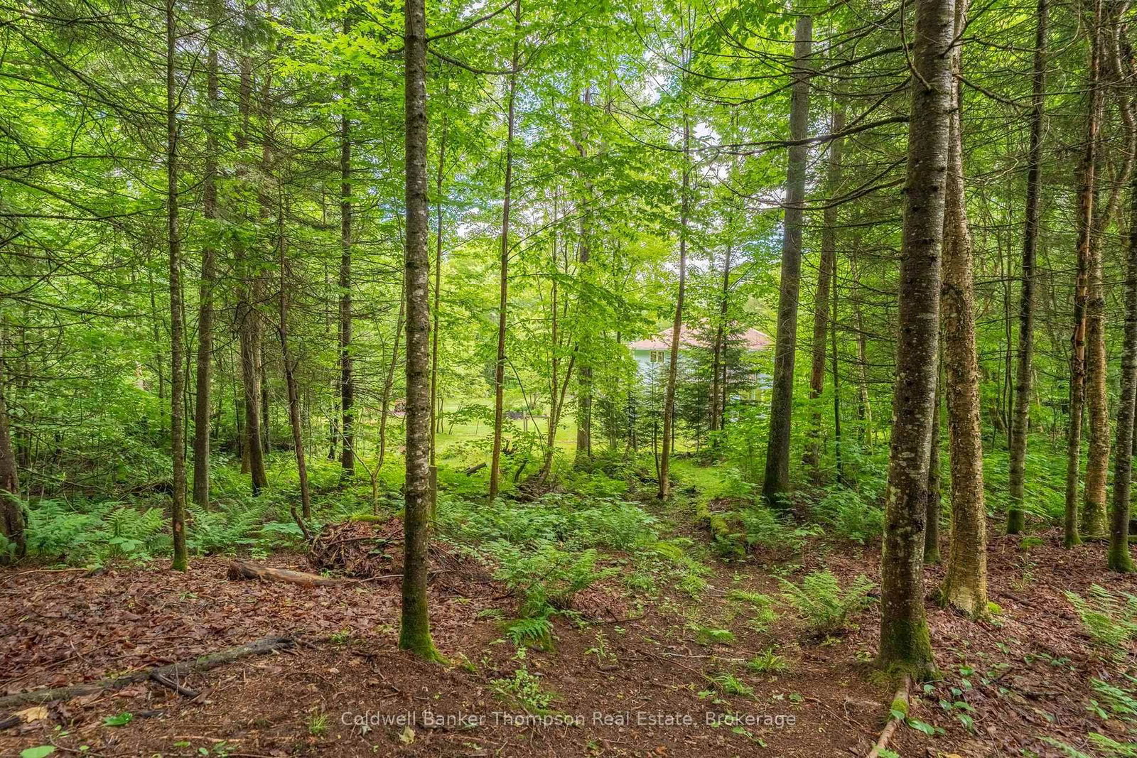 312 Old Aspdin Road • Huntsville, ON photo 37