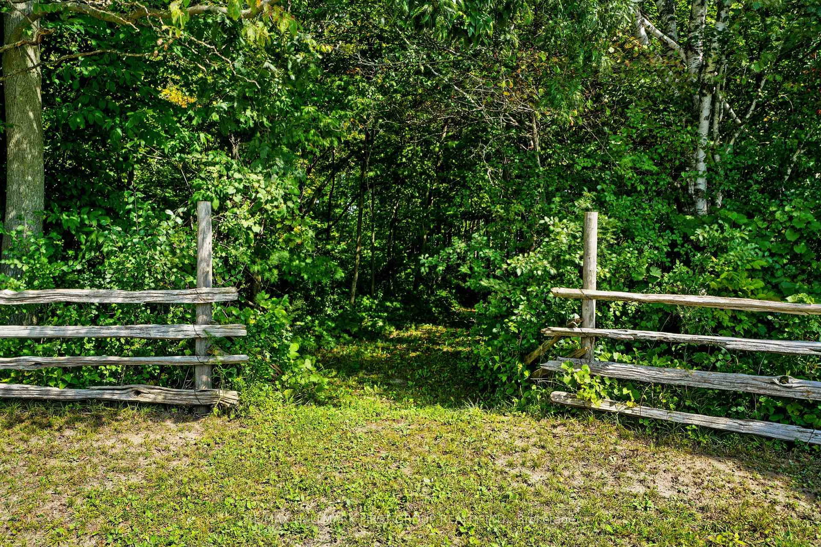 635 Northumberland Heights Road • Alnwick/Haldimand, ON photo 44