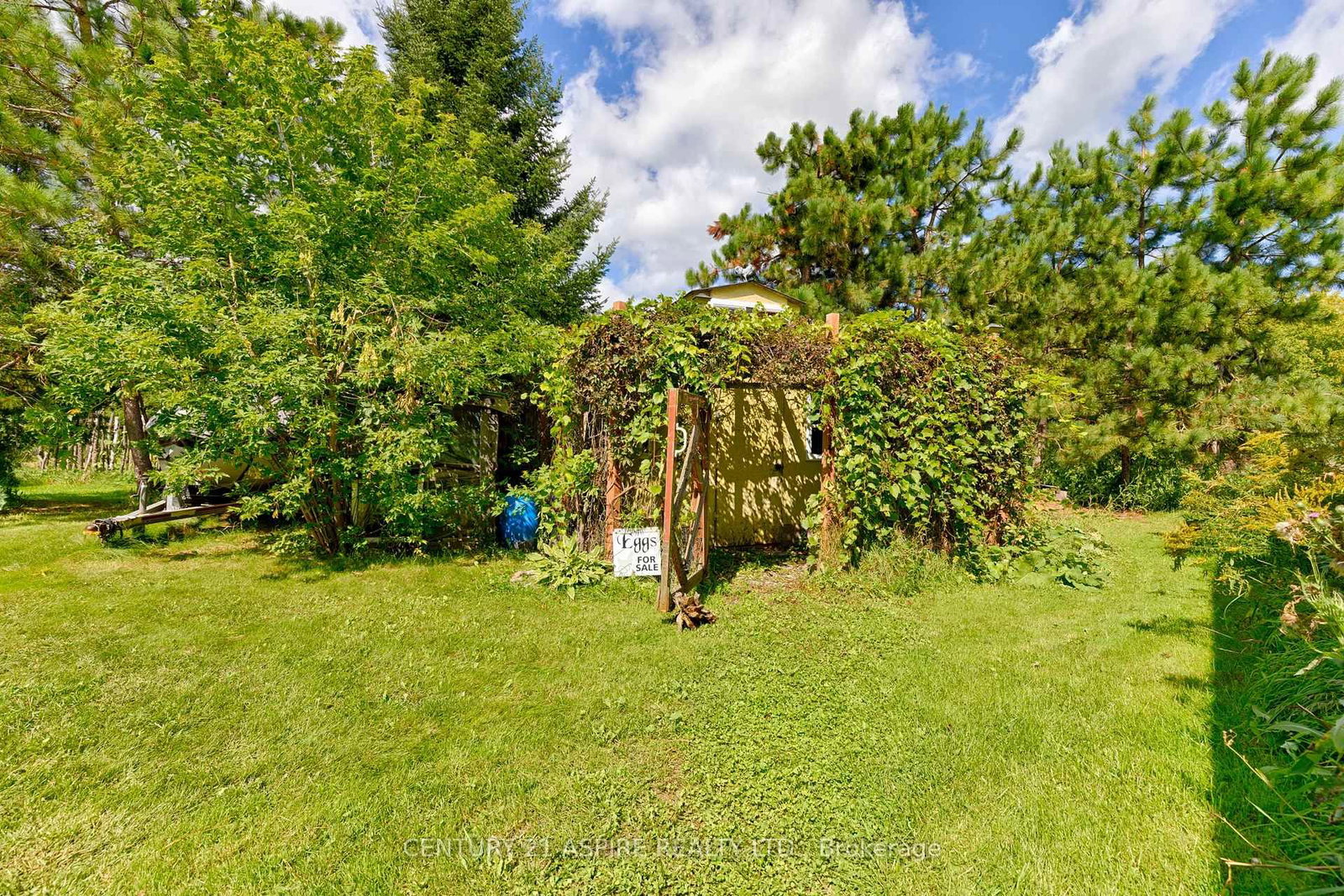 2552 Micksburg Road • Pembroke, ON photo 11