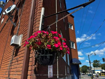 442 Macdonnell Street • Kingston, ON photo 5