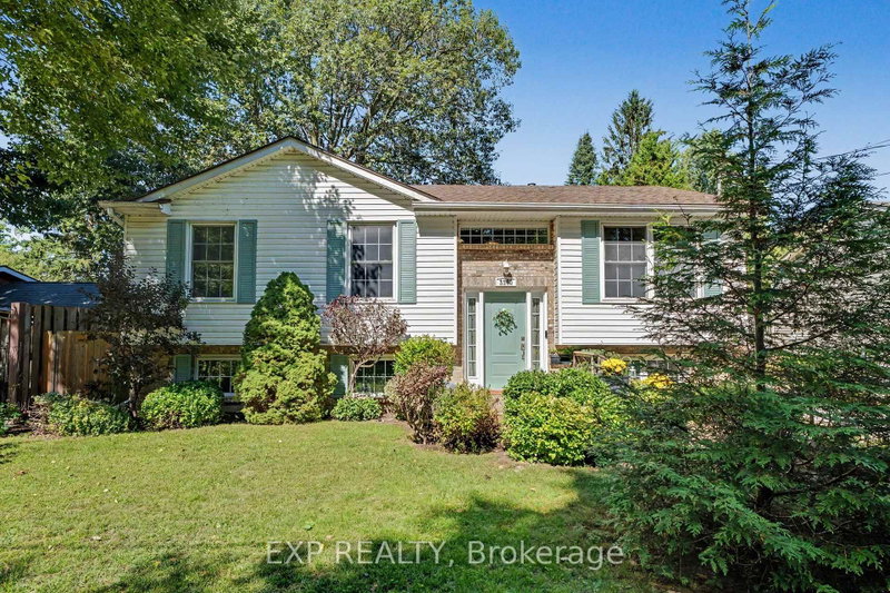 Property Main