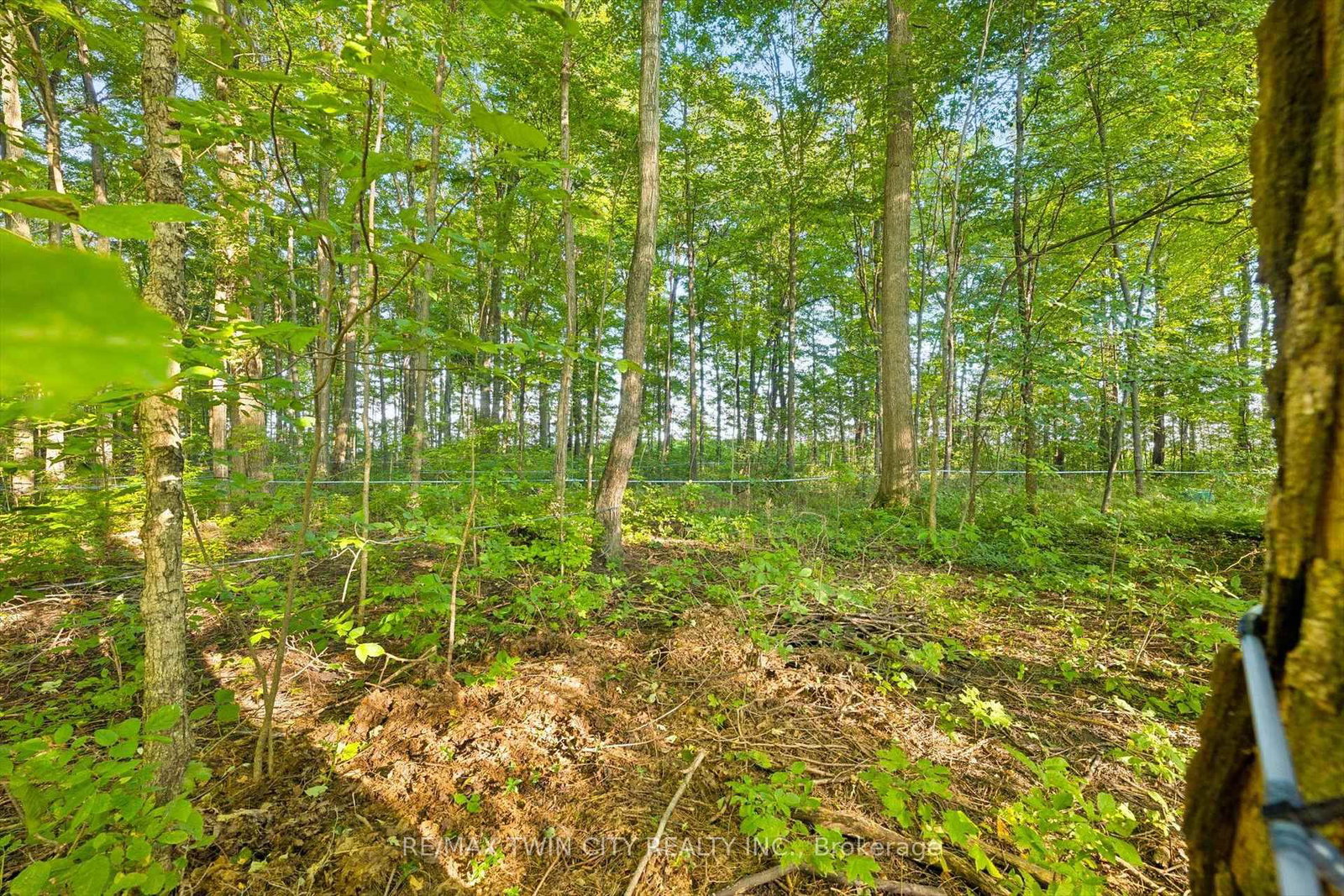 2018 Greenwood Hill Road • Wellesley, ON photo 15