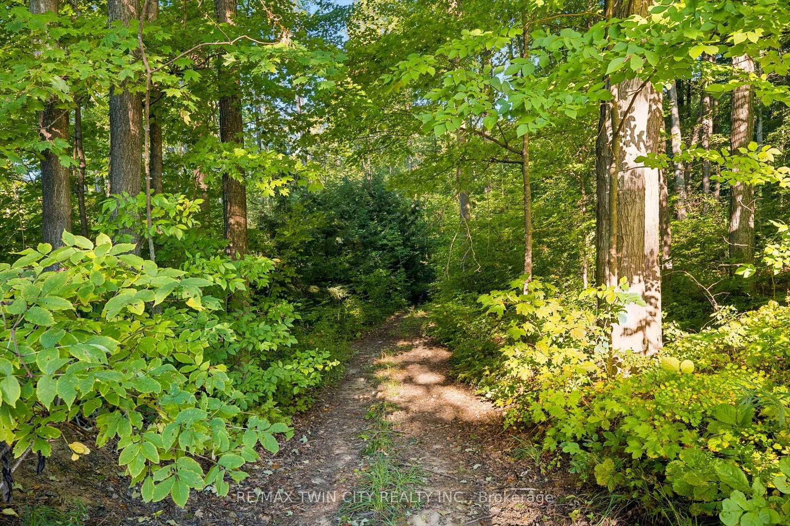 2018 Greenwood Hill Road • Wellesley, ON photo 19