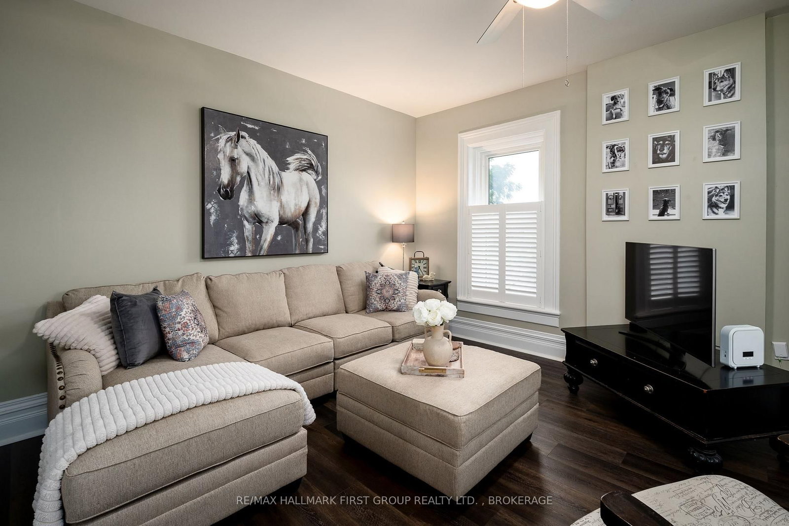 62 Alexander Street • Belleville, ON photo 30