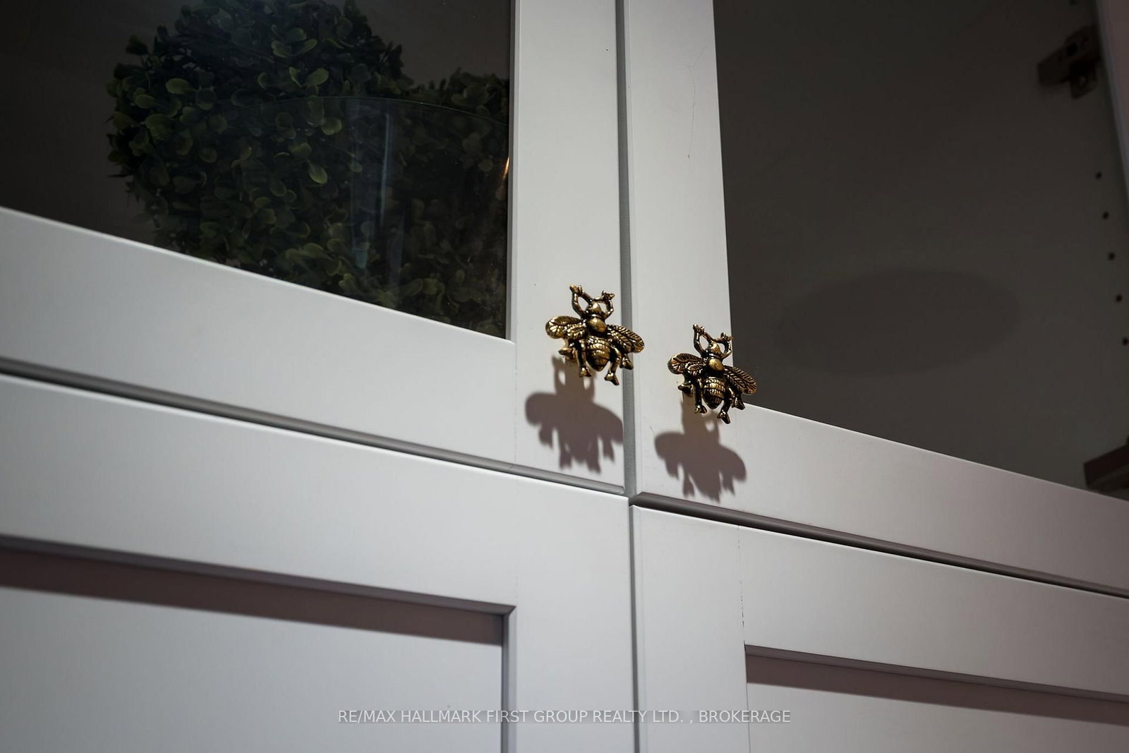 62 Alexander Street • Belleville, ON photo 9
