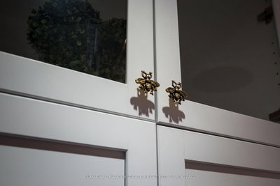 62 Alexander Street • Belleville, ON photo 9