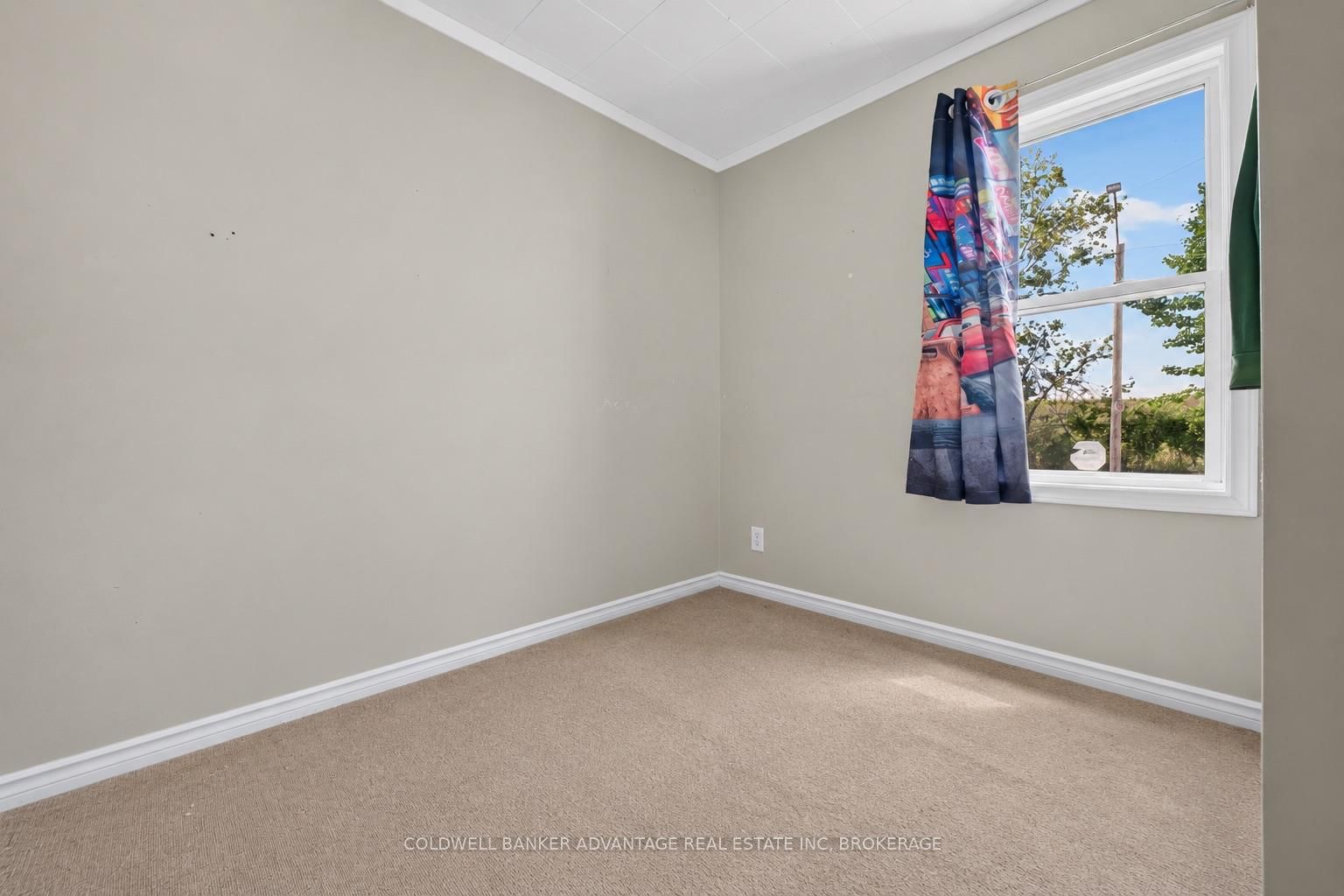 229 Dain Avenue • Welland, ON photo 15