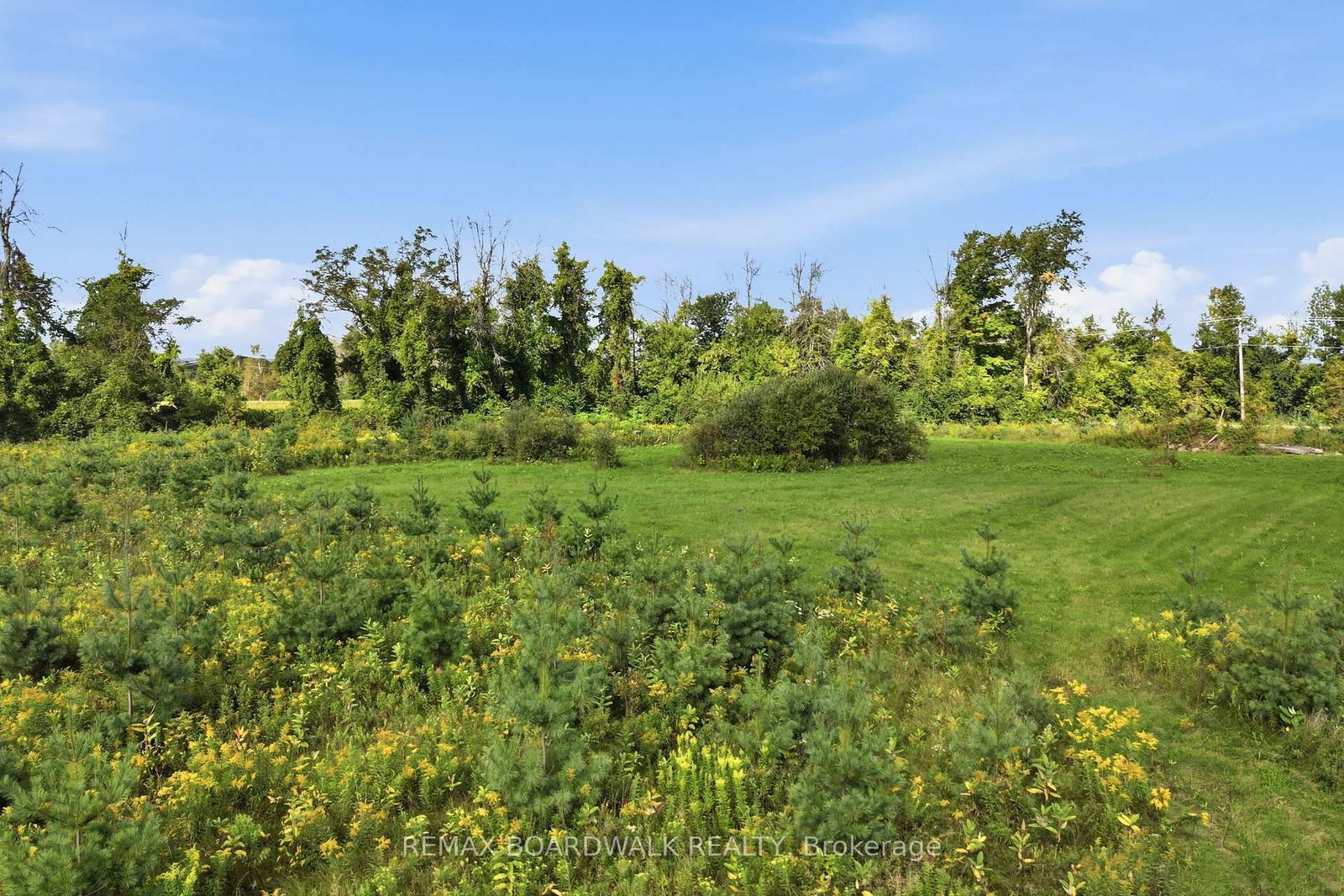 00 Ferguson Falls Road • Lanark, ON photo 6