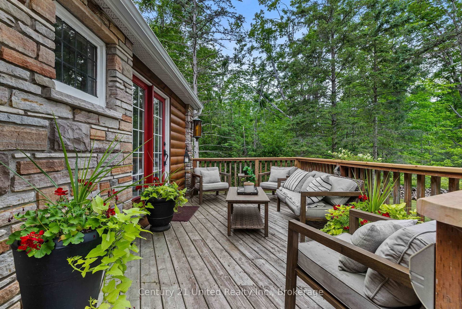 11 Birch Terrace • Trent Lakes, ON photo 31