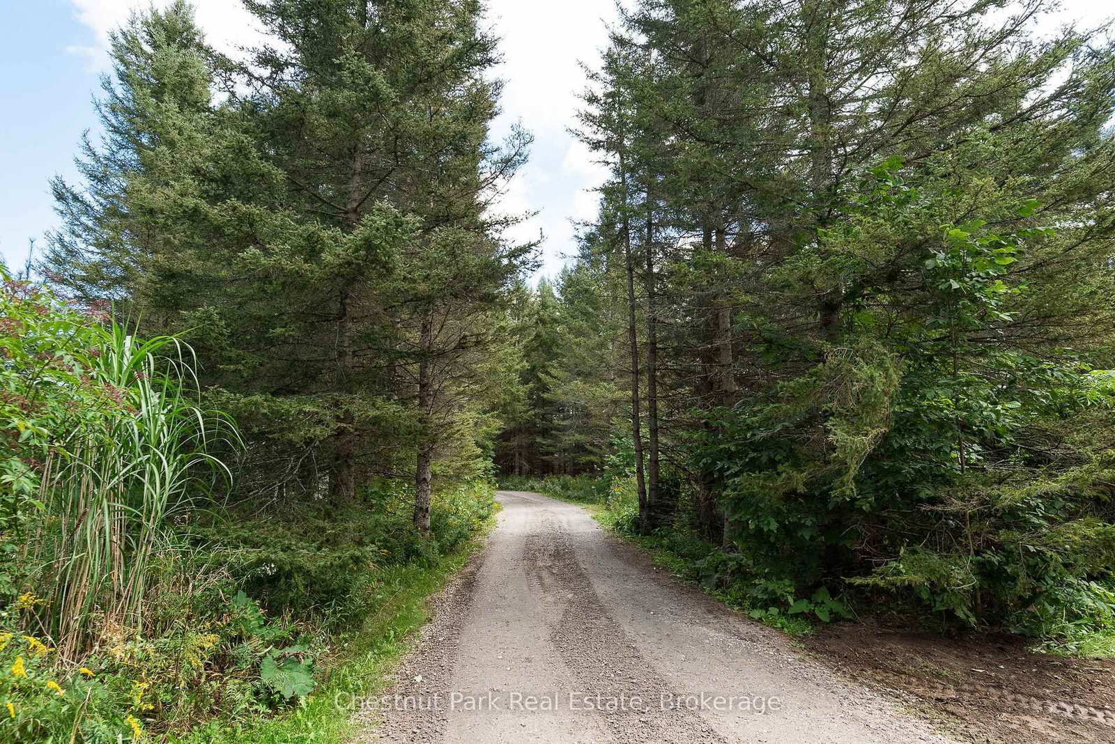 91 Chapman's Landing Road • Nipissing, ON photo 48