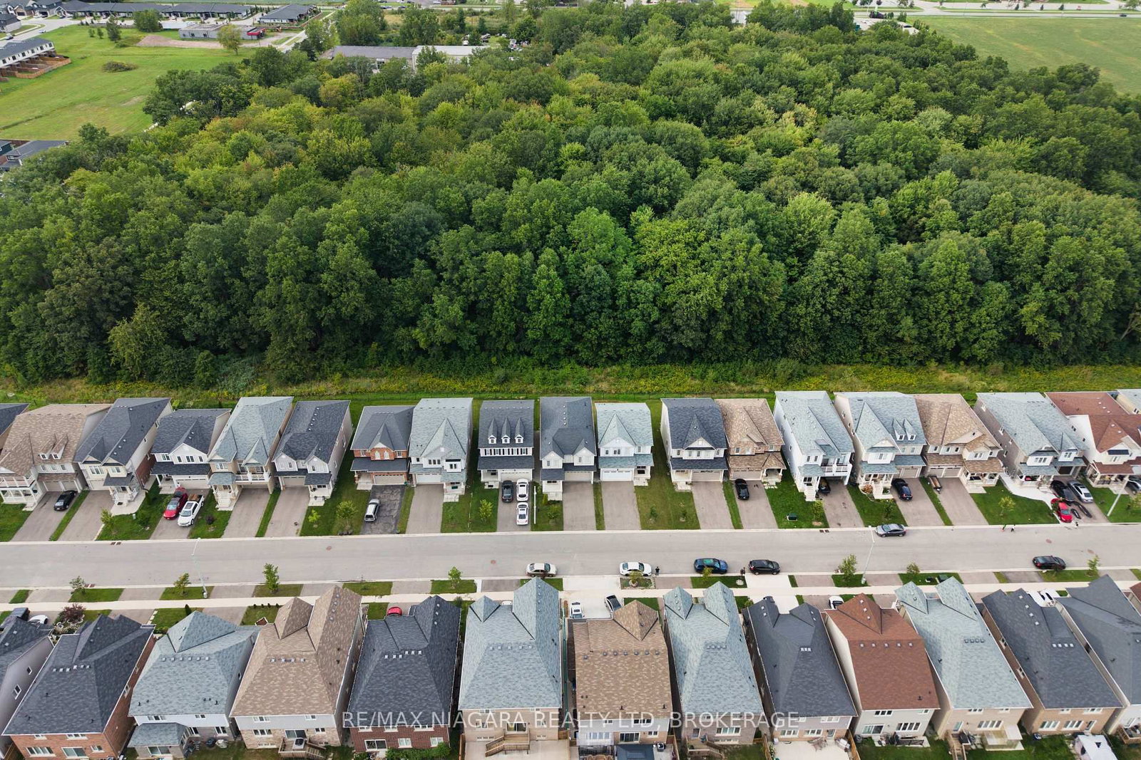 8707 Chickory Trail • Niagara Falls, ON photo 44