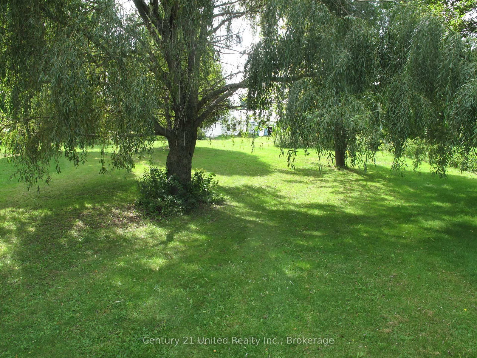 528 Concession Rd 6 E • Trent Hills, ON photo 39